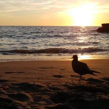 Fotografía de playa, autora Verónica Mata