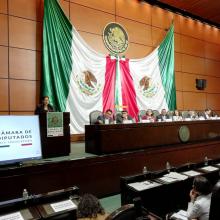 Doctora Carmen Chinas Salazar durante su participación en la audiencia pública para académicos que organizó la Cámara de Diputados 