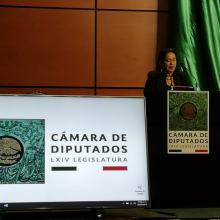 Doctora Carmen Chinas Salazar durante su participación